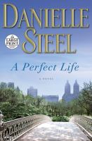 A perfect life a novel