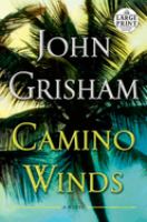 Camino winds a novel