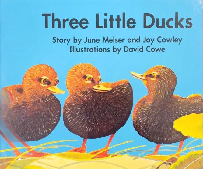Book jacket