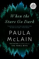When the stars go dark a novel