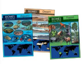 Book jacket