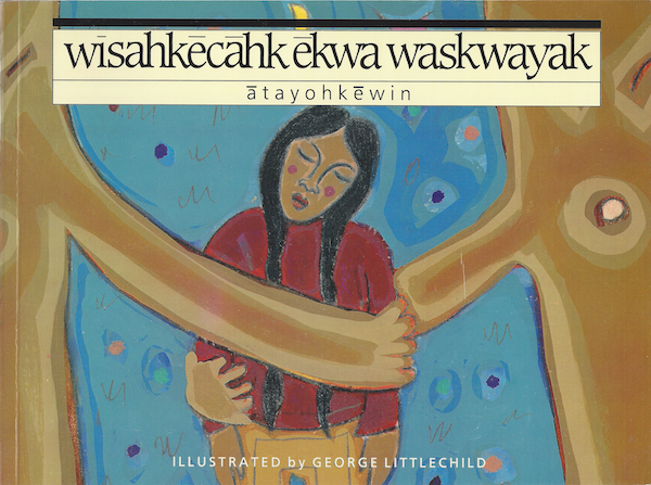 Book jacket