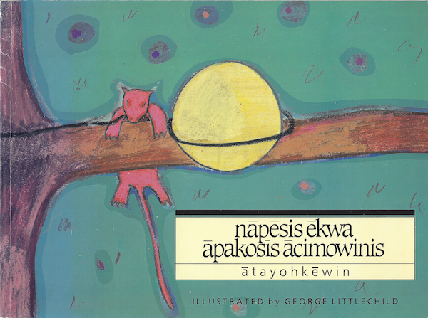 Book jacket