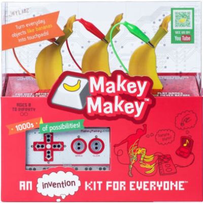 Makey Makey kit