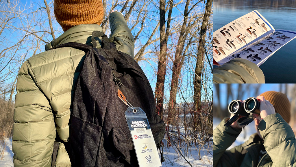 Cover image for Birding backpack