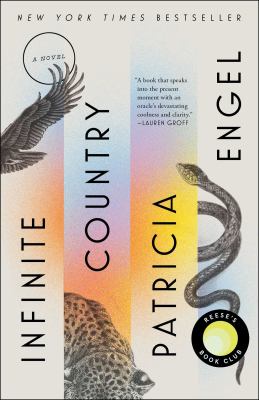 Infinite country : a novel