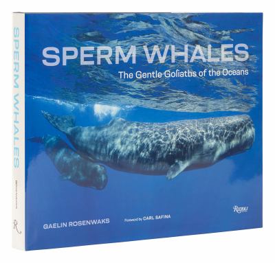 Sperm whales : the gentle goliaths of the ocean