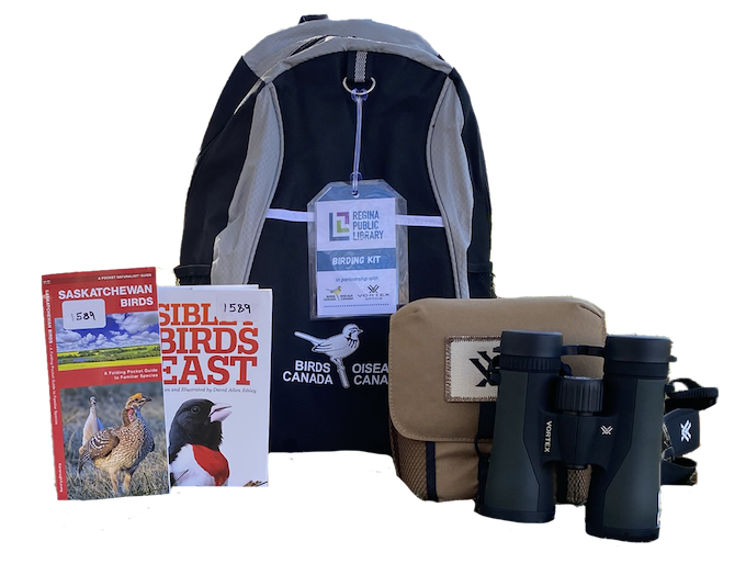 Cover image for Birding kit