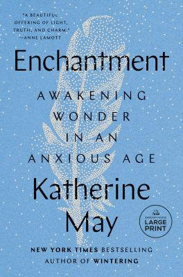 Enchantment awakening wonder in an anxious age
