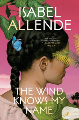 The wind knows my name : a novel