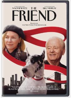 Cover image for The friend