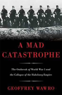 A mad catastrophe : the outbreak of World War I and the collapse of the Habsburg Empire